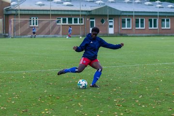Bild 53 - B-Juniorinnen HSV - FF USV Jena : Ergebnis: 3:1
